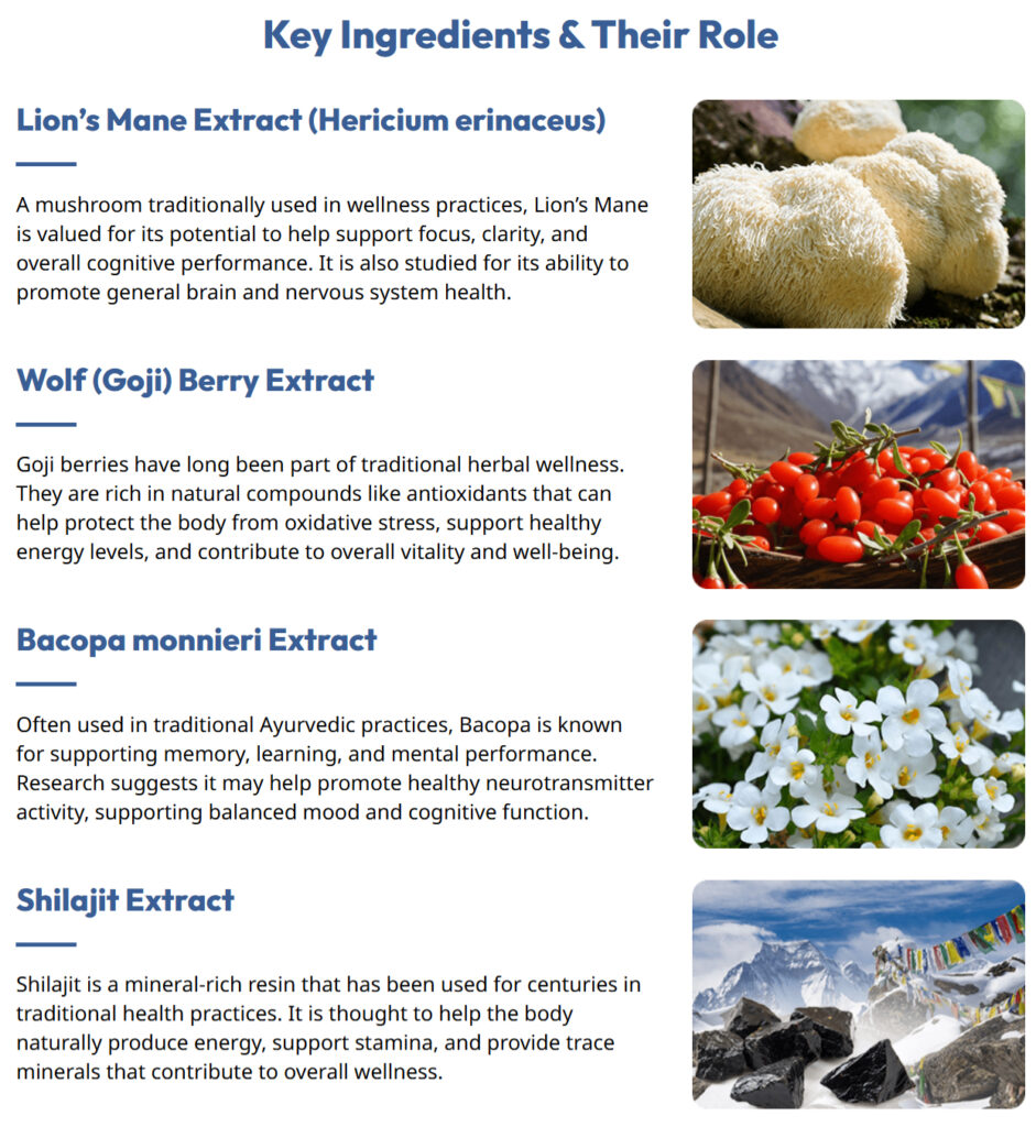 Neura supplement ingredients